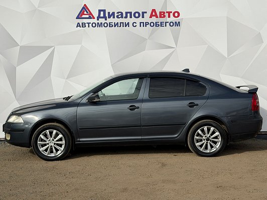 Skoda Octavia Active, 2008 года, пробег 220361 км